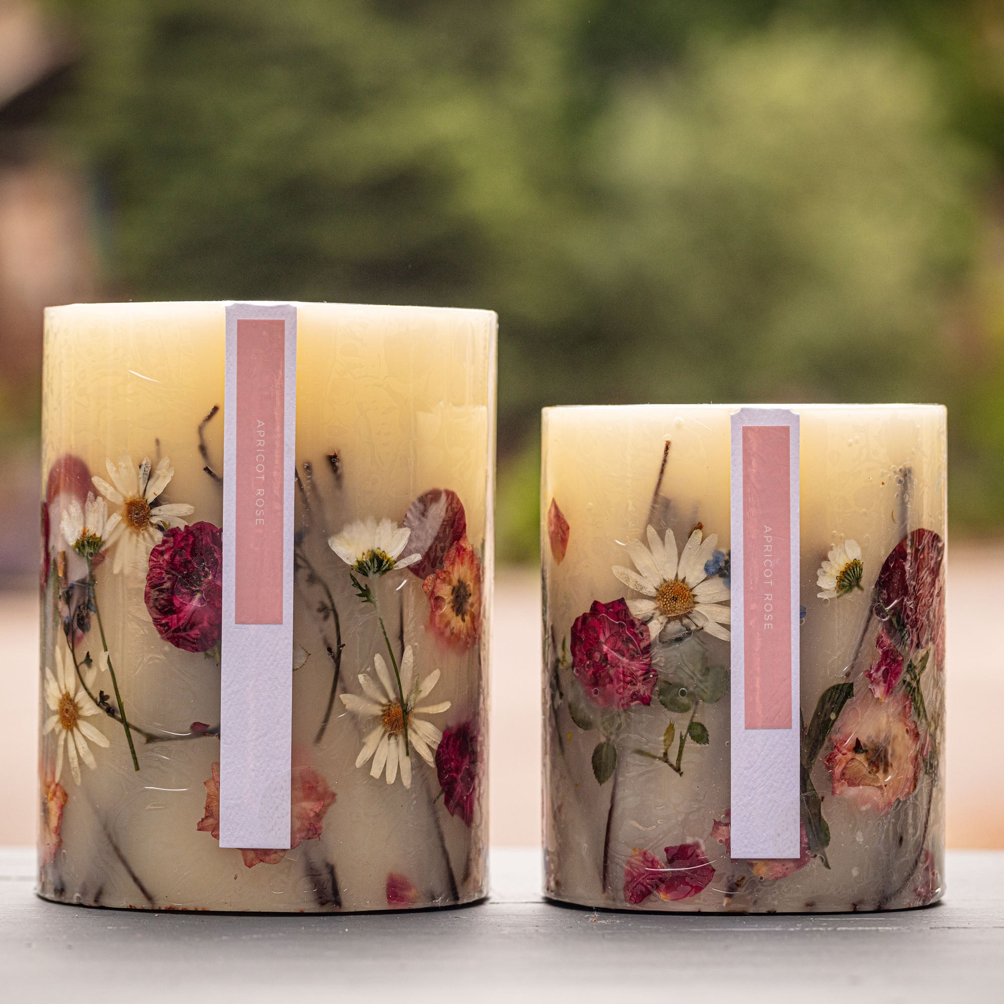 Apricot Rose Small Round Botanical Candle