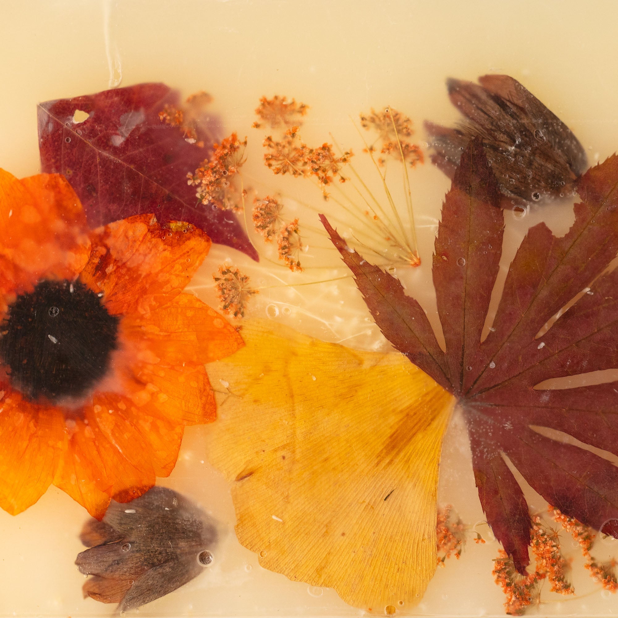 Harvest Pumpkin Medium Round Botanical Candle